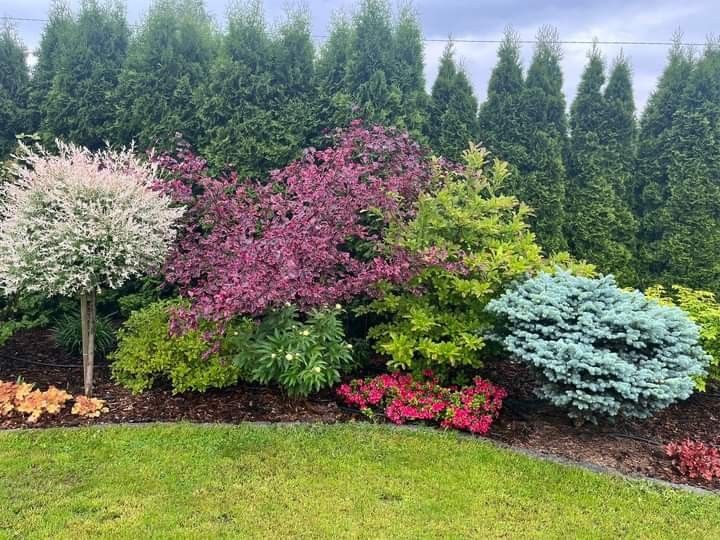 Есенна магия в градината