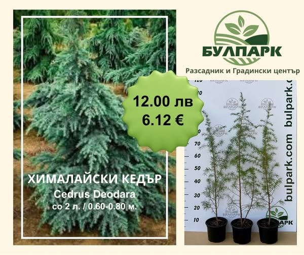 Величие и хармония в градината!