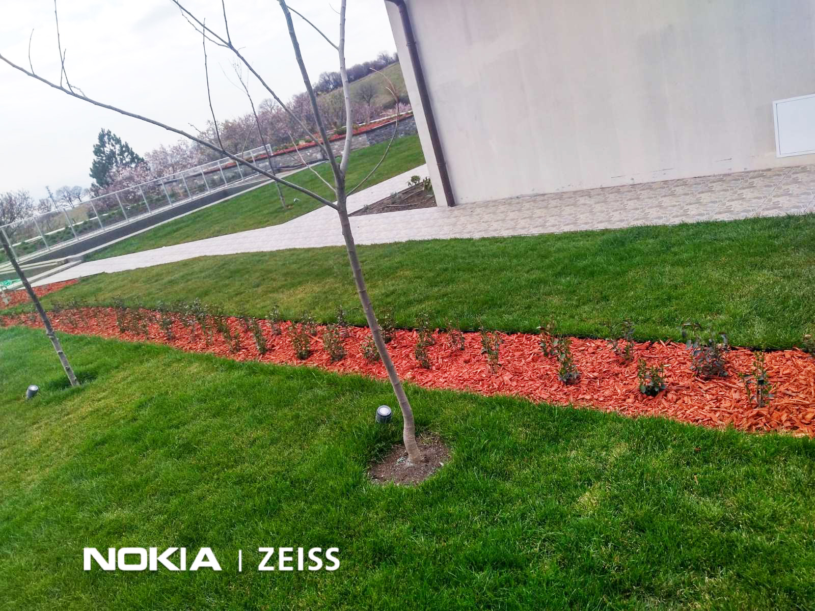 Ползите от мулчирането